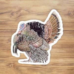 Wild Turkey Sticker, Merriam&#39;s Turkey Sticker, Turkey hunting Stickers, Autumn Sticker, Thanksgiving Sticker, Outdoorsman sticker