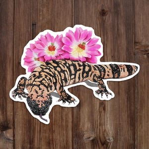 Sticker en vinyle Monstre de Gila : illustration du désert avec fleur de cactus