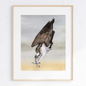 May include: Watercolor painting of an osprey diving for prey. The bird is brown and white with its wings spread out. The background is a light blue and yellow watercolor wash.