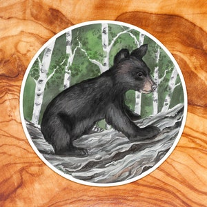 Black Bear Sticker, Bear Cub vinyl sticker, Wildlife stickers, nature vinyl stickers, black bear art, black bear illustration, bear cub art