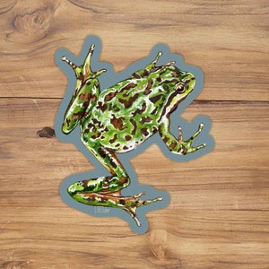 May include: A sticker featuring a detailed illustration of a green frog with brown spots. The frog is set against a light blue outline, with a wooden background. The frog's skin has a textured appearance, and the sticker has a glossy finish.