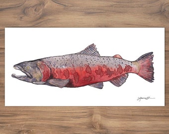 Watercolor Chinook Salmon Illustration, Chinook salmon art, Oregon art, Fishing art, Chinook salmon painting, Chinook salmon Fine Art