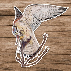 American Kestrel Sticker, Falcon Sticker, Bird Stickers, Kestrel Sticker, Hawk Sticker, Watercolor Birds,
