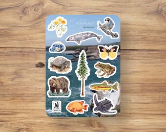Glossy California State Symbols Sticker Sheet: California Typology