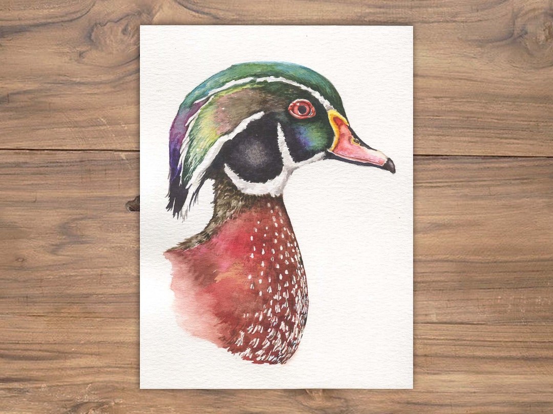 Original Watercolor Wood Duck Illustration: Wildlife Art - Etsy
