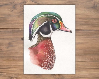 Original Watercolor Wood Duck Illustration: Wildlife Art