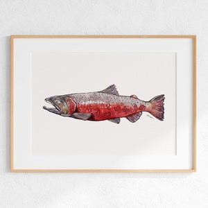 Impression giclée de saumon quinnat, illustration de saumon quinnat, symboles de l'état de l'Oregon, crabe aquarelle, impression d'art côtier, art de l'Oregon, art du saumon
