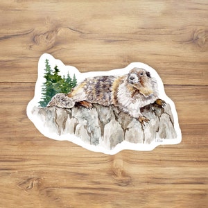 May include: Watercolor illustration of a marmot sitting on a rock with green trees in the background.
