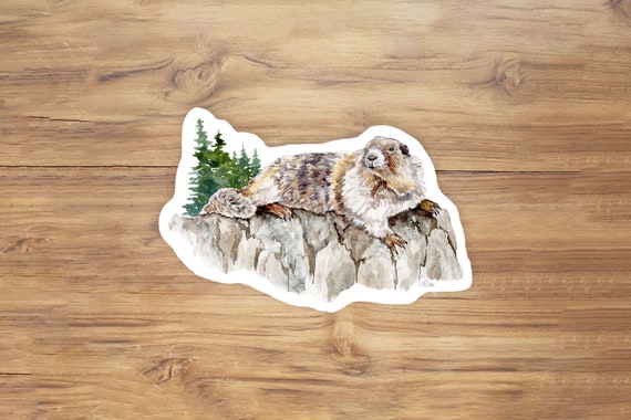Olympic marmot sticker, marmot vinyl sticker, watercolor marmot illustration, watercolor marmot sticker, washington sticker, PNW sticker