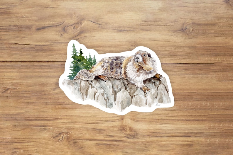 K&ouml;nnte beinhalten: Aquarell-Illustration eines Murmeltiers, das auf einem Felsen sitzt, mit gr&uuml;nen B&auml;umen im Hintergrund.
