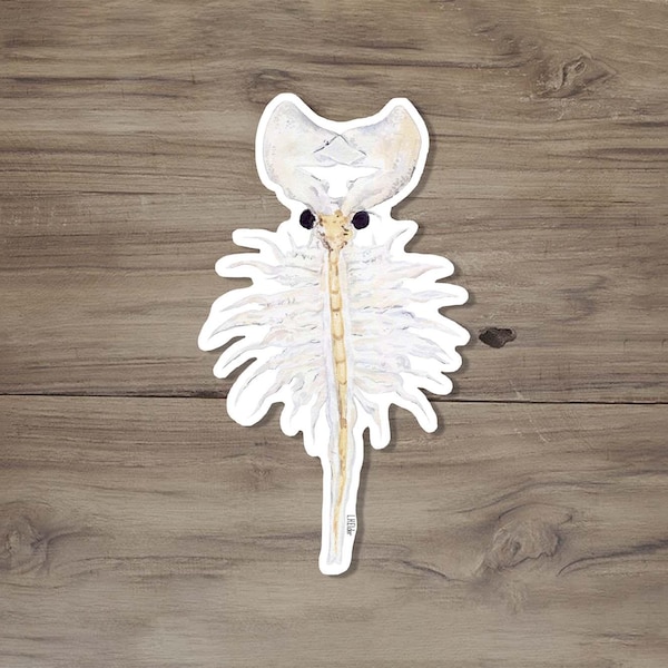 Brine Shrimp Sticker: Utah State Crustacean