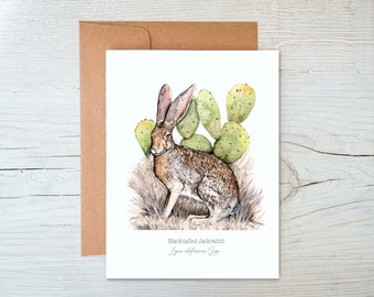 Jackrabbit Greeting Card, Desert Greeting Card, Southwestern Greeting Card, Wildlife Greeting Card, Nature Card, Arizona Greeting Card