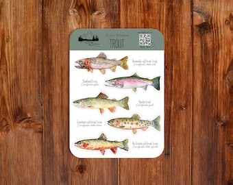 Hoja de pegatinas brillantes de trucha occidental: calcomanías para pesca con mosca