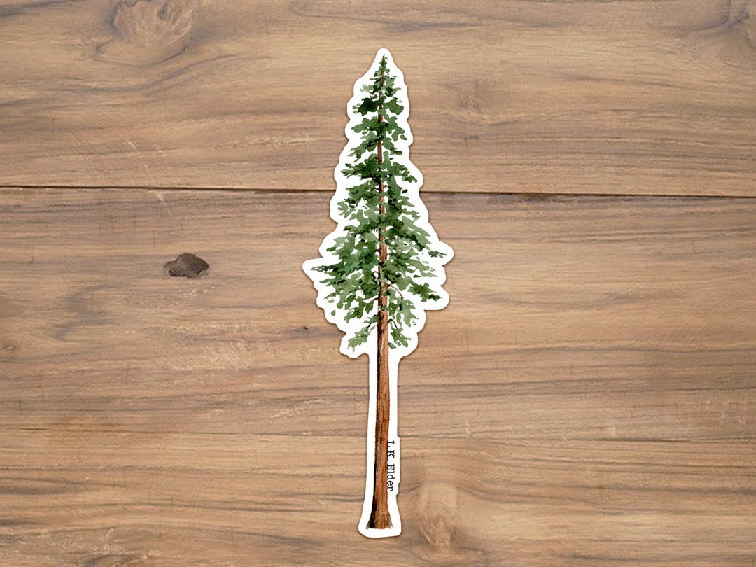 California Redwood Sticker, Coastal Redwood Sticker, Redwood Tree