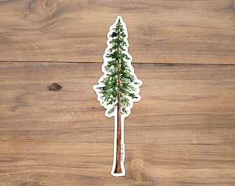 California Redwood Sticker, Coastal redwood sticker, redwood tree sticker, california sticker, tree sticker, sequoia sticker