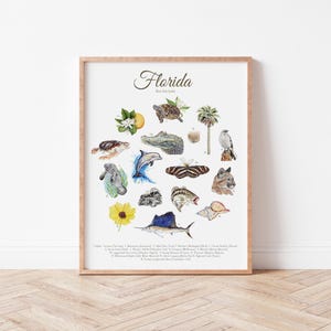 May include: A watercolor illustration of Florida wildlife, including a manatee, sea turtle, dolphin, butterfly, and a sailfish. The illustration is surrounded by a circle of text that reads "Florida, Native State Species".