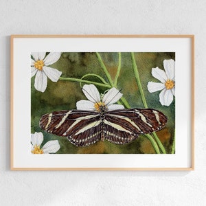 May include: A watercolor painting of a zebra longwing butterfly with black and yellow stripes, perched on a white flower with green stems and leaves. The background is a soft green.