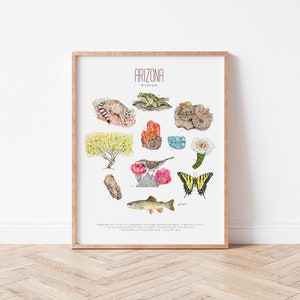 Arizona State Symbols Art Print: Flora & Fauna Typology