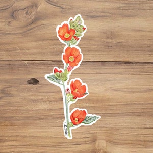 May include: A watercolor illustration of a red flower with green leaves and stems. The flower is called "L.K. Elder".