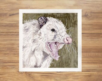 Possum Painting, Opossum painting, Watercolor possum painting, Possum Illustration, Opossum art, Watercolor Wildlife Art