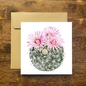 Tarjeta de felicitación con cactus Spinystar, tarjeta en blanco con cactus, tarjetas con notas de cactus, tarjetas con notas del desierto, tarjetas con notas con cactus en forma de alfiletero, tarjeta con notas con cactus en forma de colmena