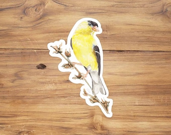 Puede incluir: Un pájaro amarillo y negro posado en una rama con pequeños brotes marrones. El pájaro tiene la cabeza negra y el cuerpo amarillo con alas negras.