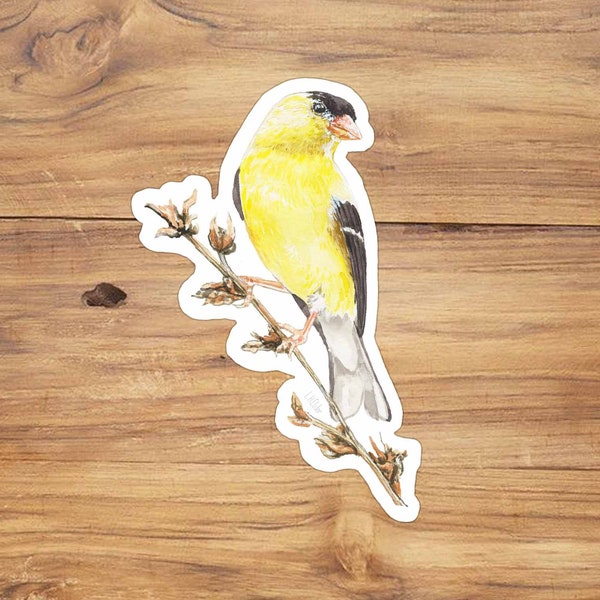 Goldfinch Vinyl Sticker: Watercolor Bird Illustration