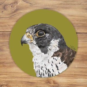Peregrine Falcon Sticker, Peregrine hawk vinyl, Birds Stickers, Wildlife Sticker, Peregrine falcon illustration, Peregrine Vinyl Stickers
