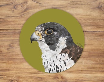 Peregrine Falcon Sticker, Peregrine hawk vinyl, Birds Stickers, Wildlife Sticker, Peregrine falcon illustration, Peregrine Vinyl Stickers