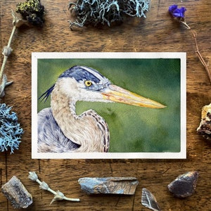 Great Blue Heron painting, Blue Heron illustration, Wildlife Illustration, Heron painting, heron gift, Blue Heron Art, Blue heron fine art