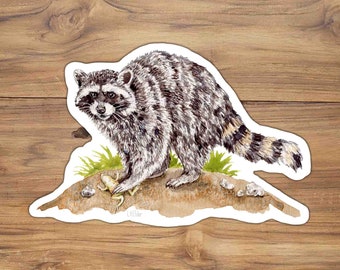 アライグマのビニールステッカー：水彩画のアライグマのイラスト