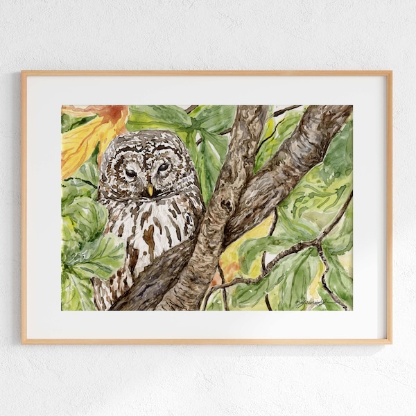 Barred Owl Giclee Print, Watercolor Barred Owl, Watercolor Owl print, Barred Owl illustration, Barred Owl Painting, Barred Owl Art