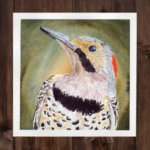 Original Northern Flicker Watercolor Painting: Wildlife Illustration
