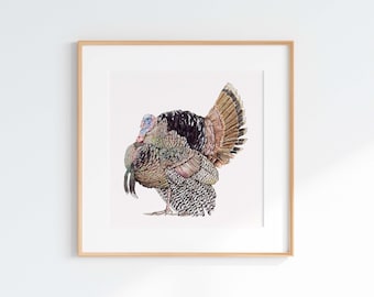 Watercolor Wild Turkey Giclee Print, Wild turkey Illustration, Wild Turkey Print, Natural Scientific Illustrations