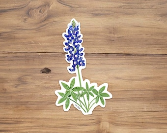Adesivo in vinile Texas Bluebonnet: Wildflower Art
