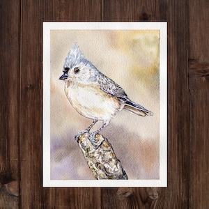 Original Watercolor Tufted Titmouse Illustration: Wildlife Bird Painting
