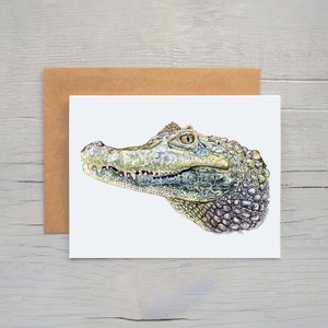 Carte de correspondance alligator, cartes vierges de la faune, carte de voeux d'alligator, illustration d'alligator, carte vierge d'alligator, cadeaux de la Floride,