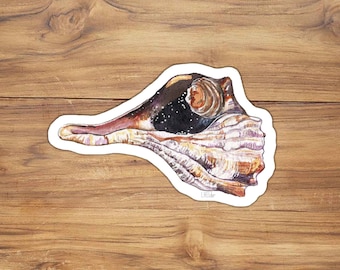 May include: A watercolour illustration of a seashell with a galaxy inside. The shell is a light brown colour with a white and purple interior. The galaxy is a dark blue colour with white stars.