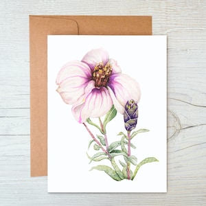 Tarjeta en blanco de zinnia del desierto en acuarela: ilustración botánica