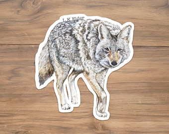 Coyote Vinyl Sticker, Watercolor Coyote, Coyote Painting, Wildlife stickers, New Mexico Stickers, Colorado Stickers, Coyote Illustration