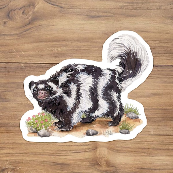 Spotted skunk vinyl sticker, Skunk and Flowers vinyl Sticker, Wildlife Stickers, Spotted Skunk Illustration, Skunk art, Nature Illustration