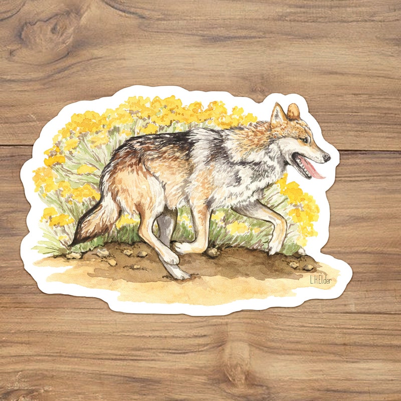 Gray Wolf Art - Etsy