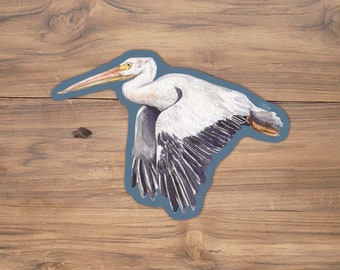 American White pelican Sticker, Falcon vinyl Sticker, Bird Stickers, bird Sticker, Birding sticker, White pelican illustration, pelican art