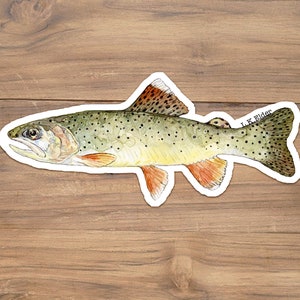 Apache trout vinyl sticker, Arizona Fish Sticker, cutthroat trout sticker, trout sticker, Apache trout painting, Arizona trout sticker