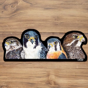 American Kestrel Sticker, Falcon Sticker, Bird Stickers, Peregrine Falcon Sticker, Prairie Falcon Sticker, Merlin Falcon sticker