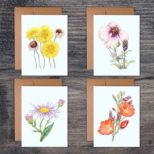 Wildflower Notecard Set, Floral notecard set, Wildflower greeting cards, Wildflower card set, floral greeting cards, botanical blank cards