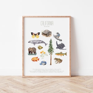 California State Symbols Art Print, California State Symbols Typology, California Wall Art, California flora fauna California Decor