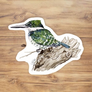 Watercolor Green Kingfisher Vinyl Sticker: Bird Art