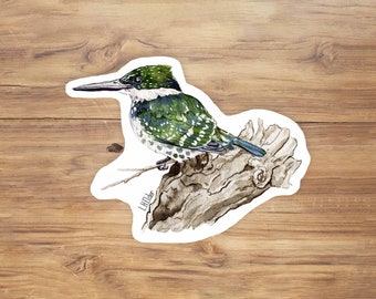 Watercolor Green Kingfisher Vinyl Sticker: Bird Art