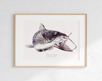 Channel Catfish Watercolor Giclee Print: Fishing Art